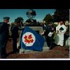 Unveiling the Plaque